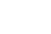 logo-alt